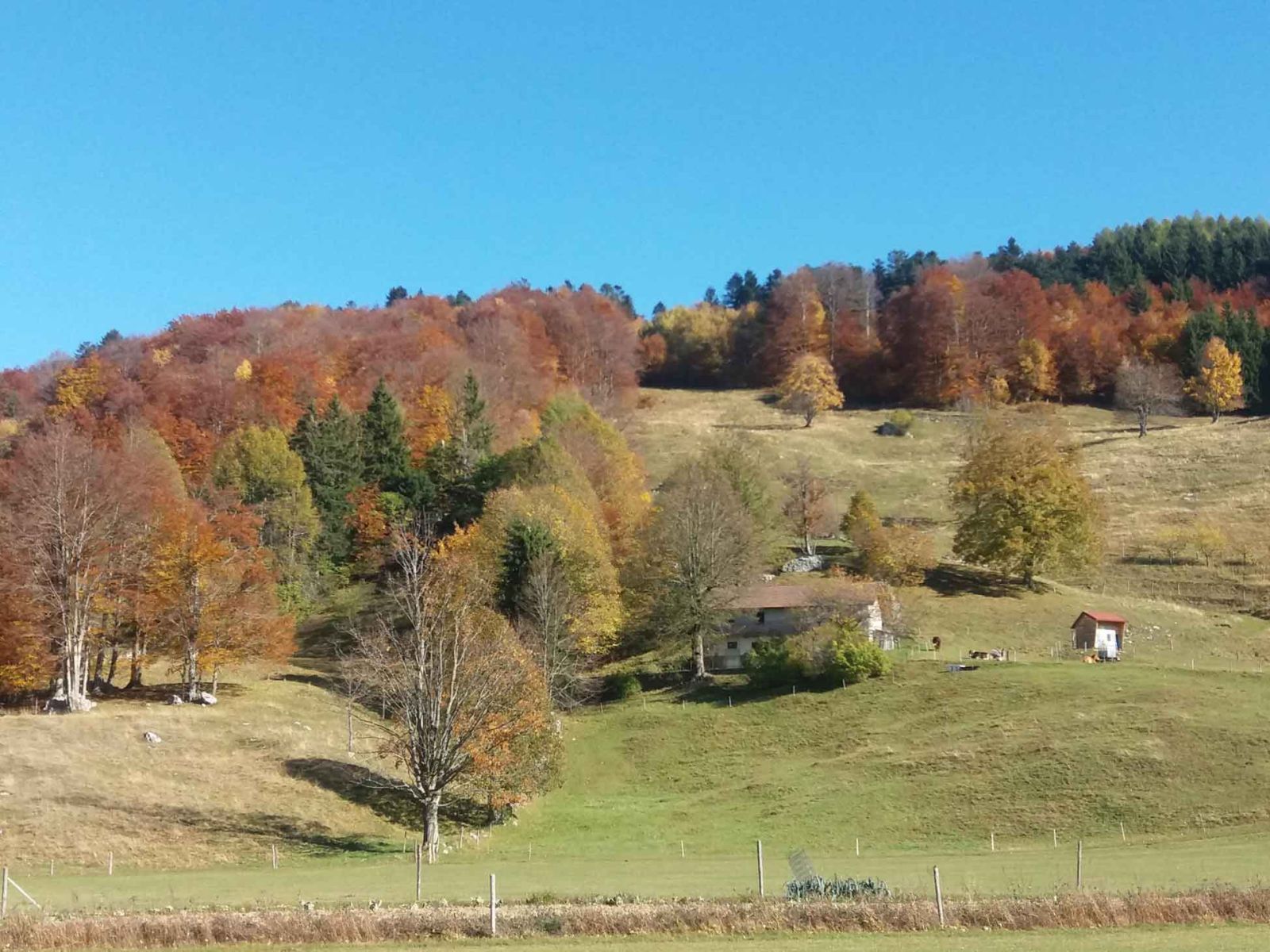 Montagna
