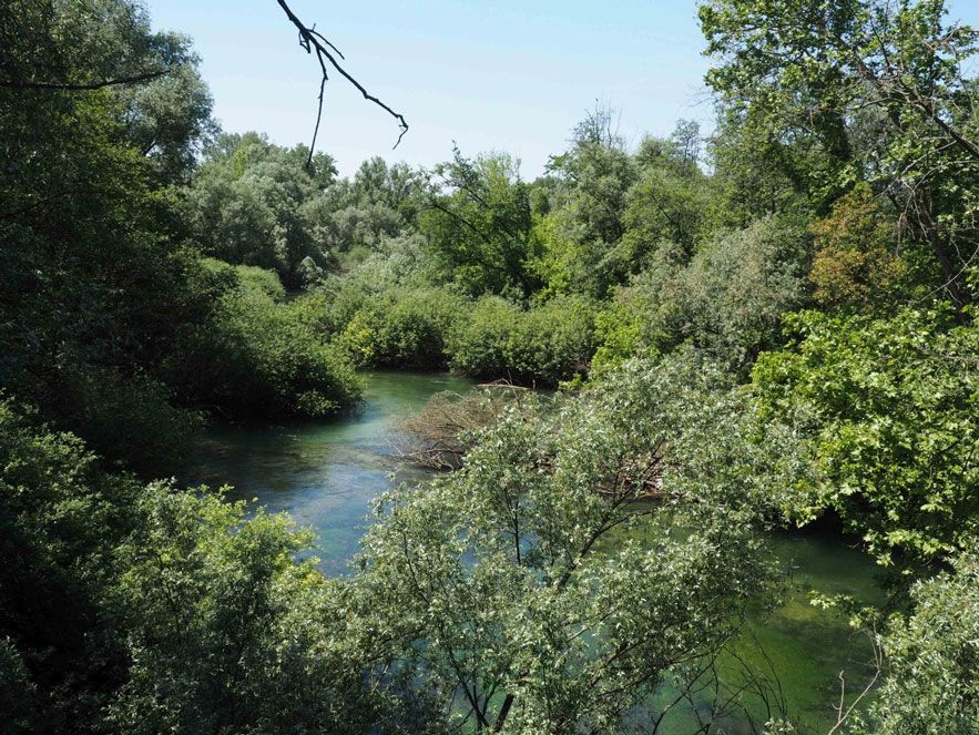 Fiume Noncello