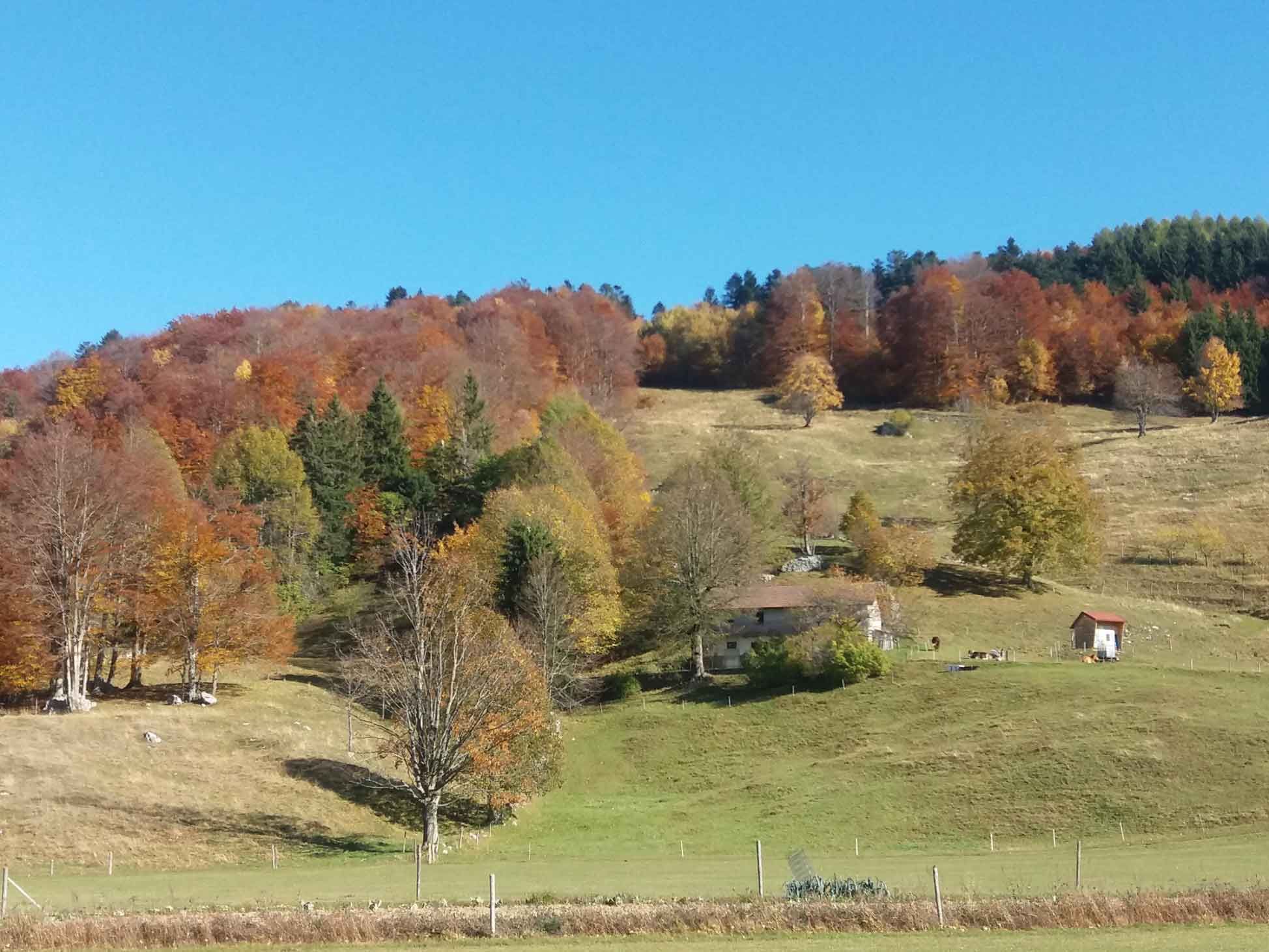 Montagna