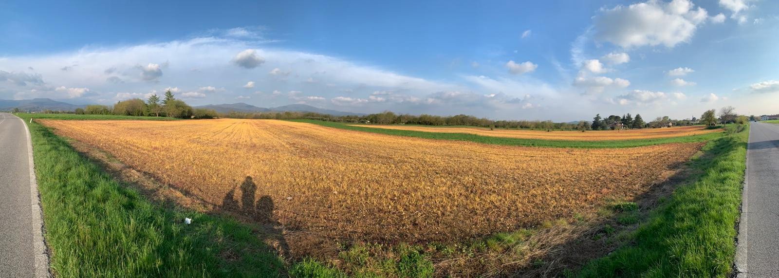 campi friuli diserbante