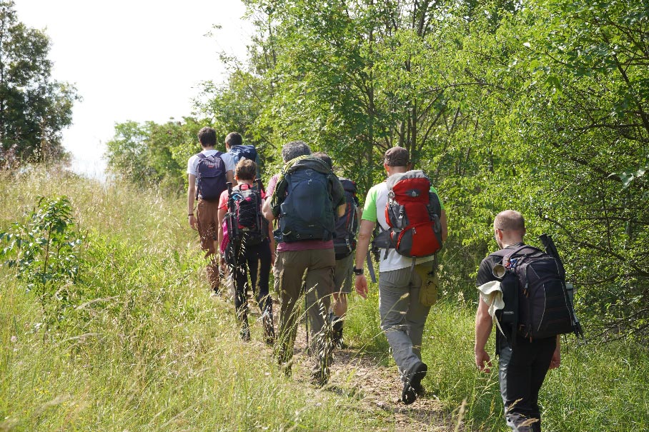 territori in movimento