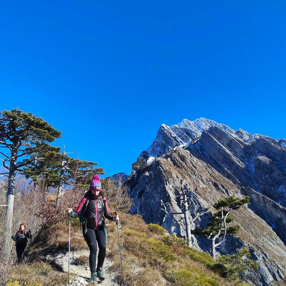 Moro Omar Gubeila Prime Alps - Salita al monte Amarianute (Alpi Tolmezzine)