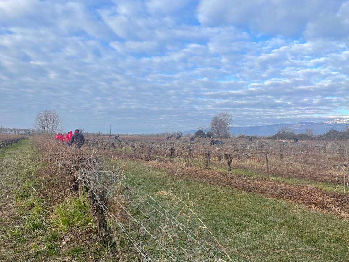 Un giovedì mattina con le Brigate del Lavoro