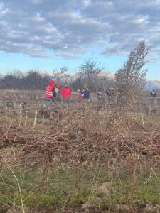Un giovedì mattina con le Brigate del Lavoro