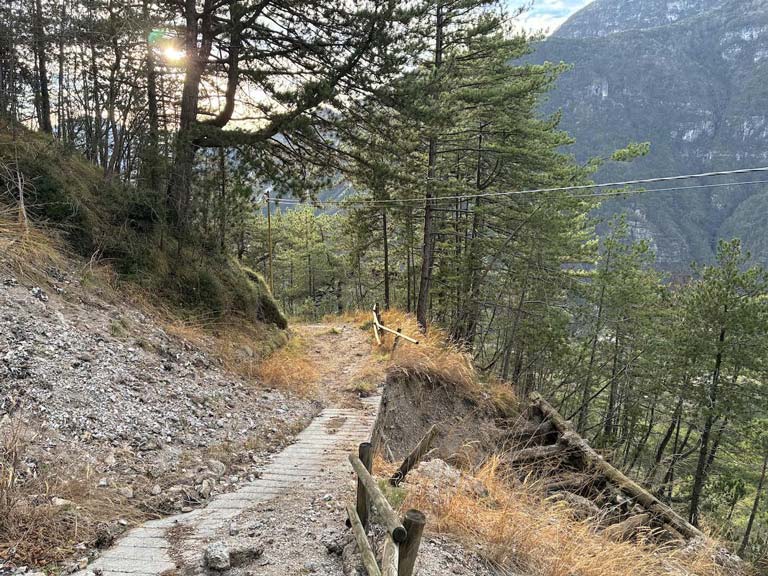 Pista Forestale Carnia