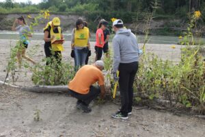 Monitoraggio Tagliamento