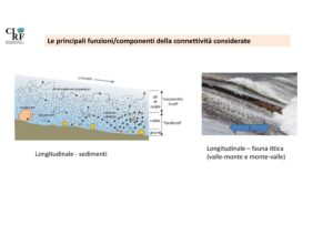 CIRF Tagliamento slide 12