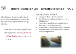 CIRF Tagliamento slide 10