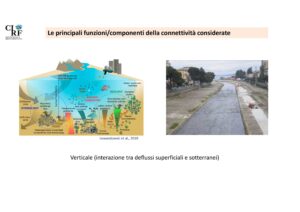 CIRF Tagliamento slide 15
