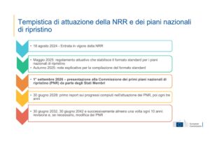 CIRF Tagliamento slide 17