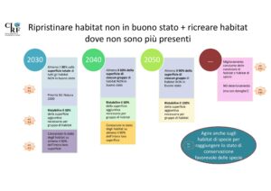 CIRF tagliamento slide 6.