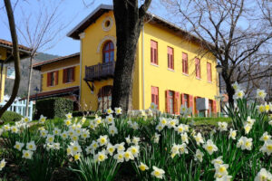 San Giovanni di Trieste Aiuola con fiori.