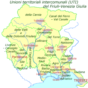 nioni_territoriali_intercomunali_del_Friuli-Venezia_Giulia