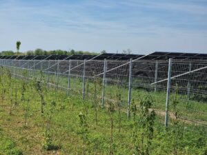 impianto fotovoltaico a terra