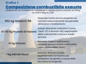 Composizione Combustibile Esausto Nucleare
