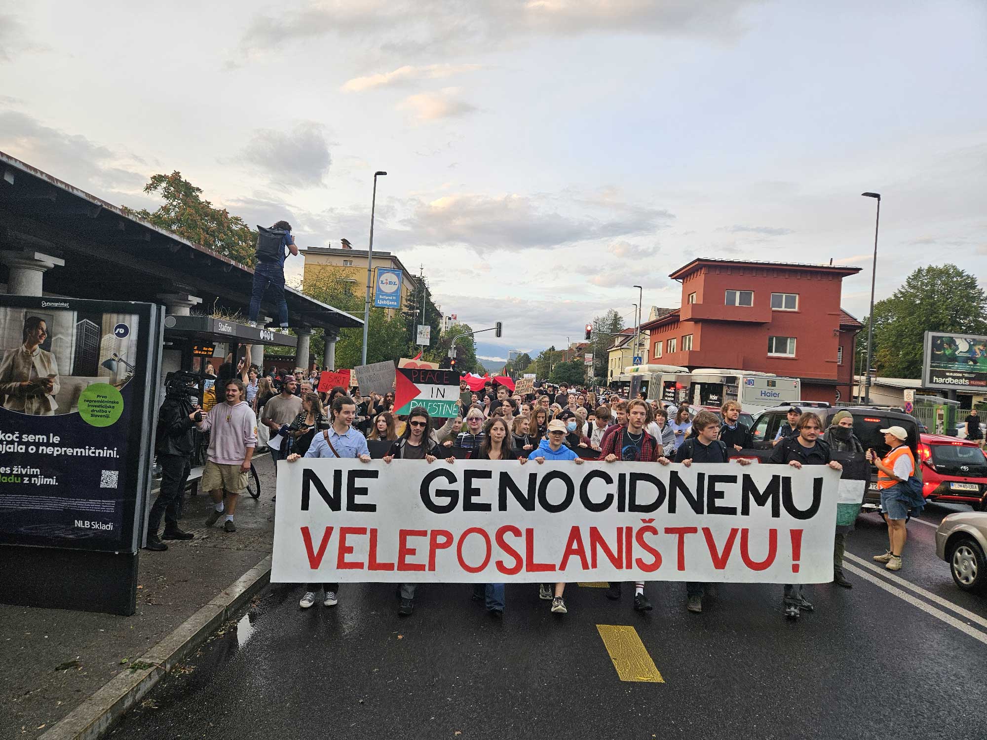 No genocidio Palestina