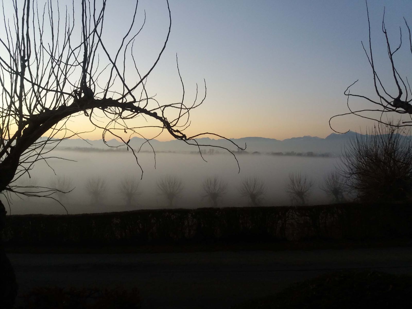 Paesaggio agrario
