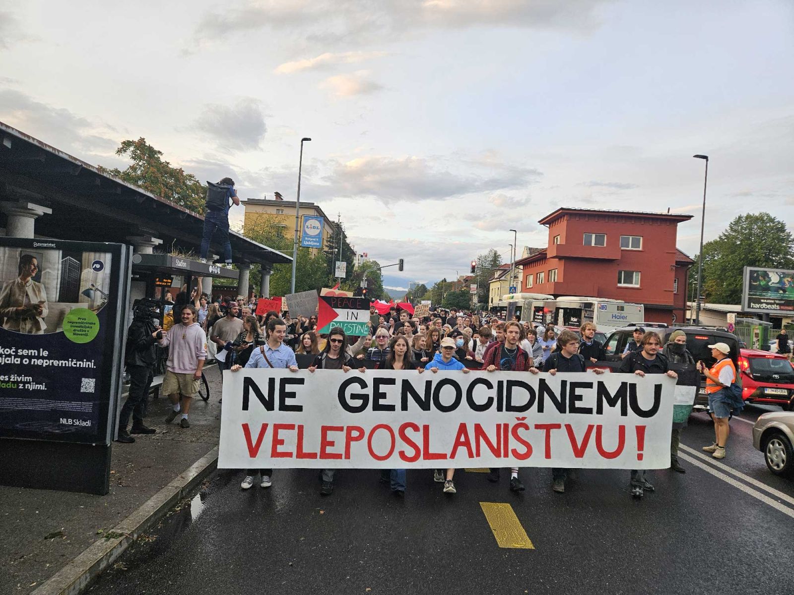 No genocidio Palestina