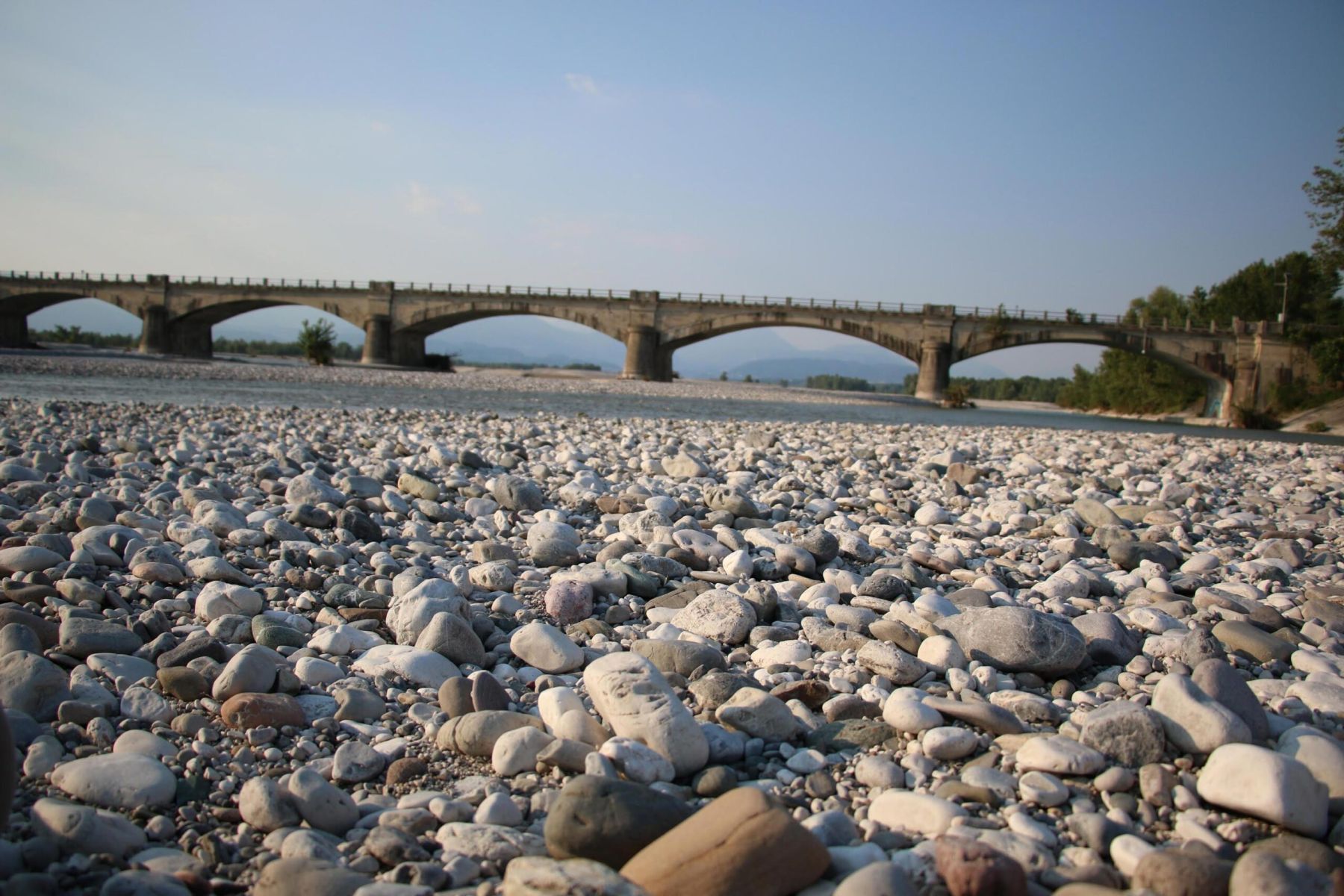 tagliamento